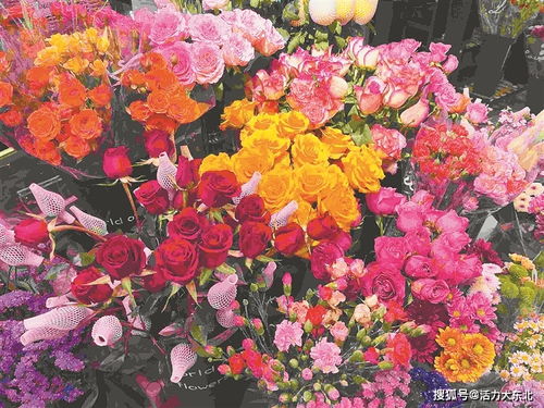 走访哈尔滨鲜切花市场 小众花卉风头盛 价格略比往年升